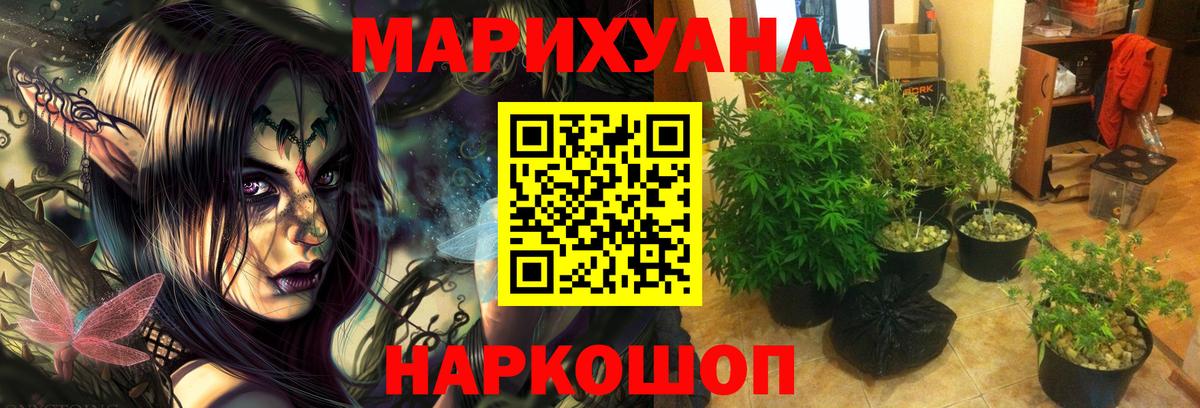 Канабис марихуана Вичуга